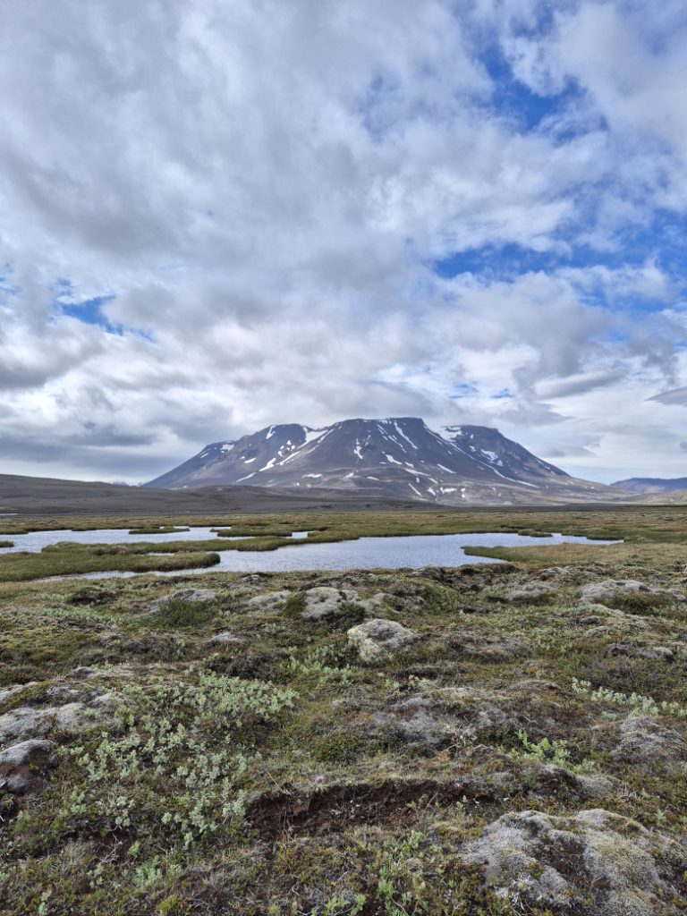 Mynd: Þóra Kristín Ásgeirsdóttir