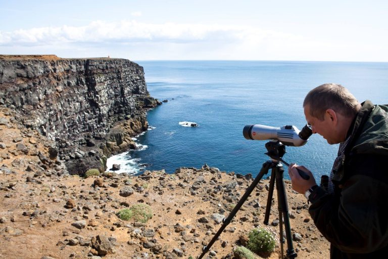 Fínari að störfum - Mynd: Ernir